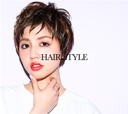 hs-m.png(200359 byte)